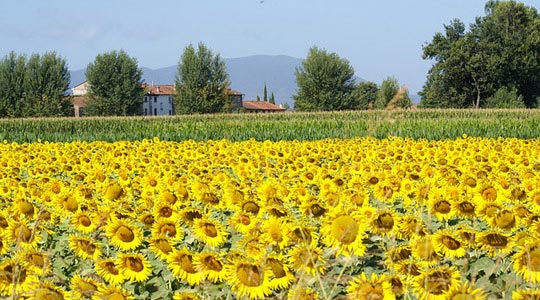 blog-image
